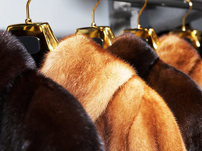 Suede, Leather an dFur